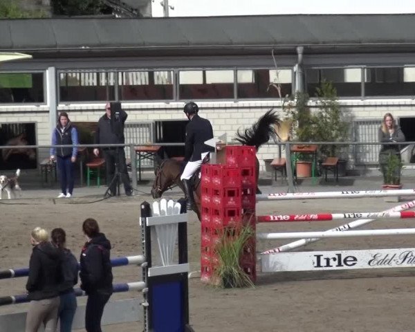 Großes Springturnier Siegen 2015