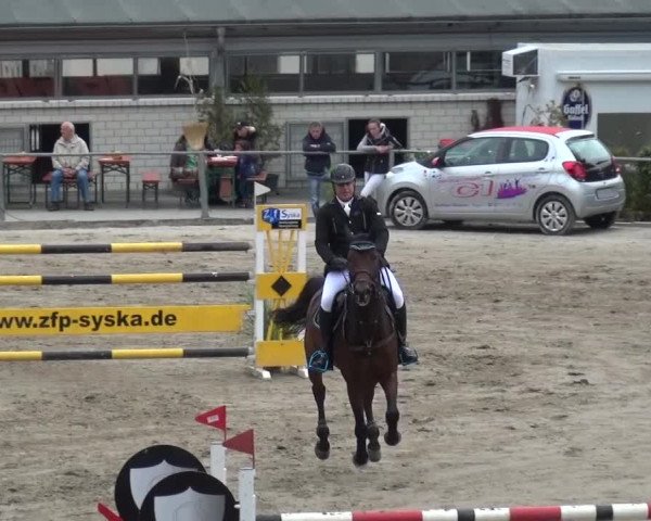 Großes Springturnier Siegen 2015