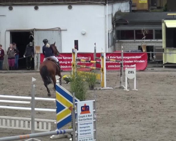Großes Springturnier Siegen 2015