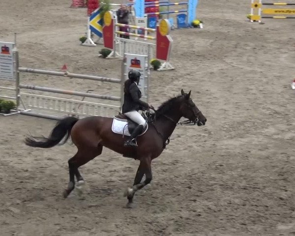 Großes Springturnier Siegen 2015