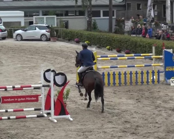 Großes Springturnier Siegen 2015