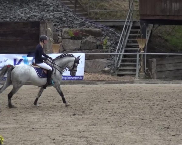 Großes Springturnier Siegen 2015