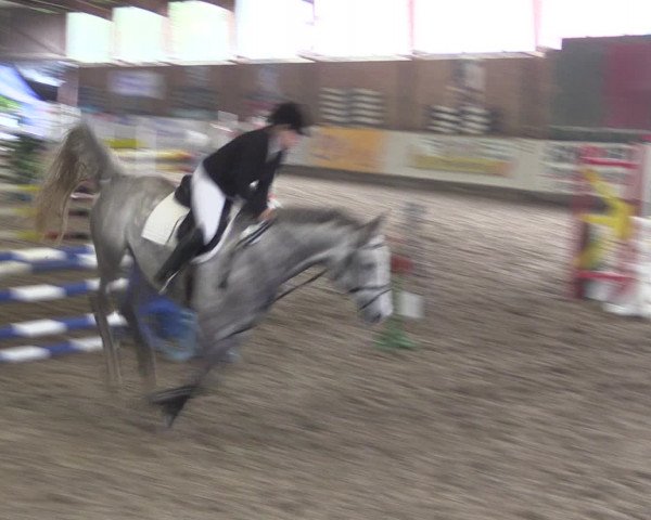 Reitturnier Ovenstädt 2015