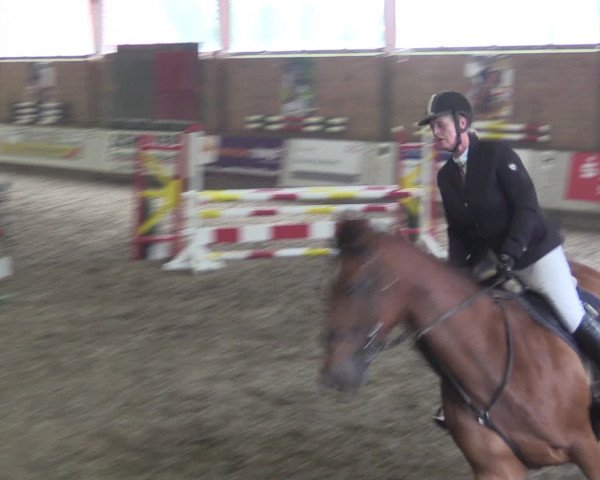 Reitturnier Ovenstädt 2015