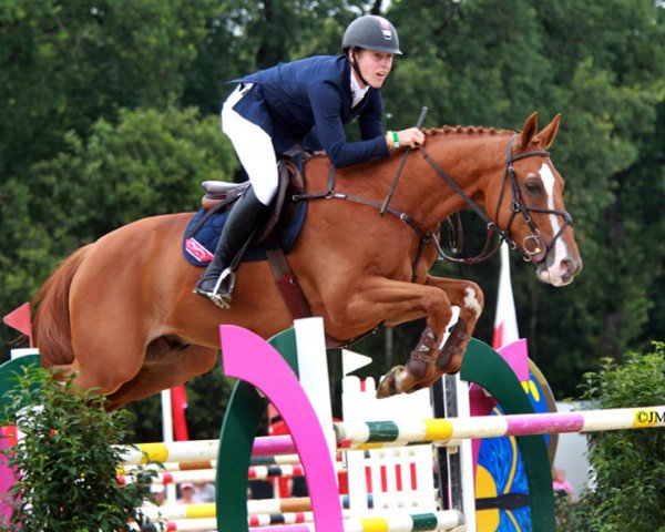 jumper Makavoy (KWPN (Royal Dutch Sporthorse), 2003, from Hors La Loi II)