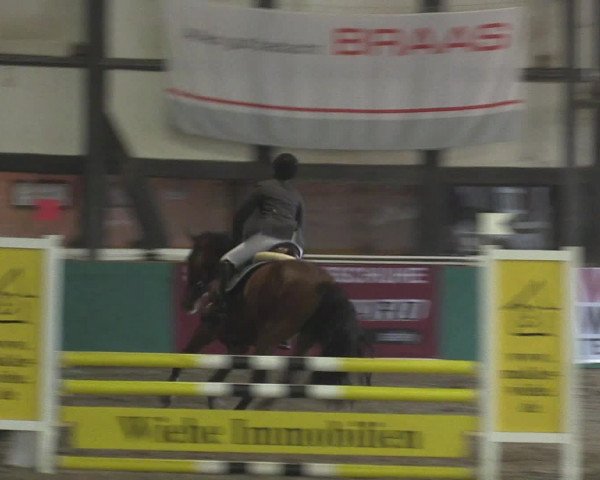 Reitturnier Ovenstädt 2015