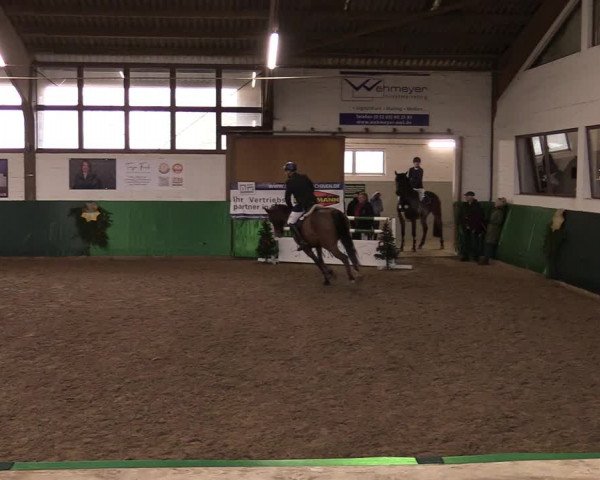 Springturnier Bielefeld-Jöllenbeck 2021