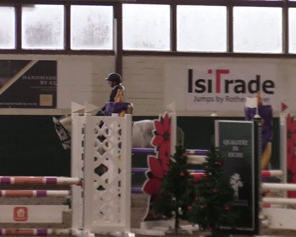 Springturnier Bielefeld-Jöllenbeck 2021