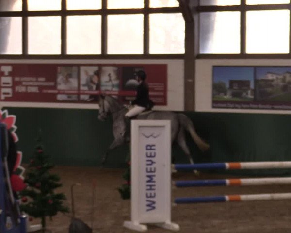 Springturnier Bielefeld-Jöllenbeck 2021