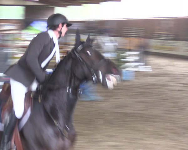 Reitturnier Ovenstädt 2015