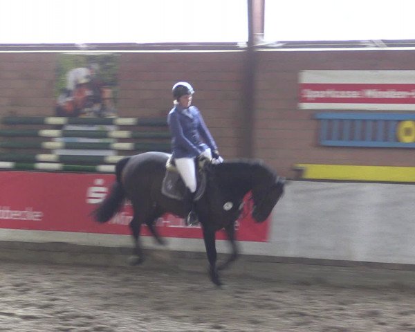 Reitturnier Ovenstädt 2015