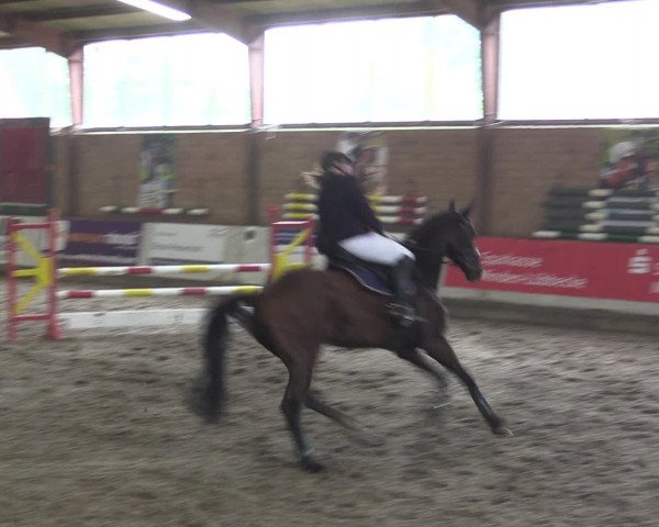 Reitturnier Ovenstädt 2015
