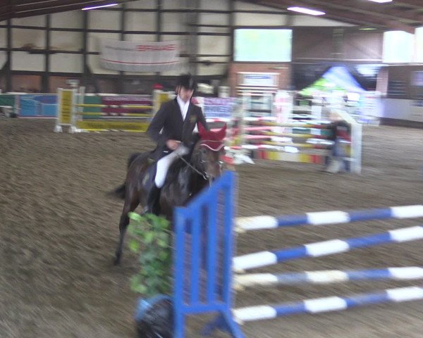 Reitturnier Ovenstädt 2015