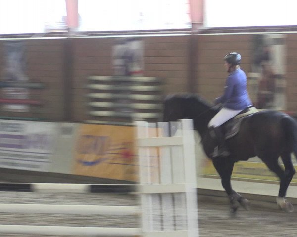 Reitturnier Ovenstädt 2015