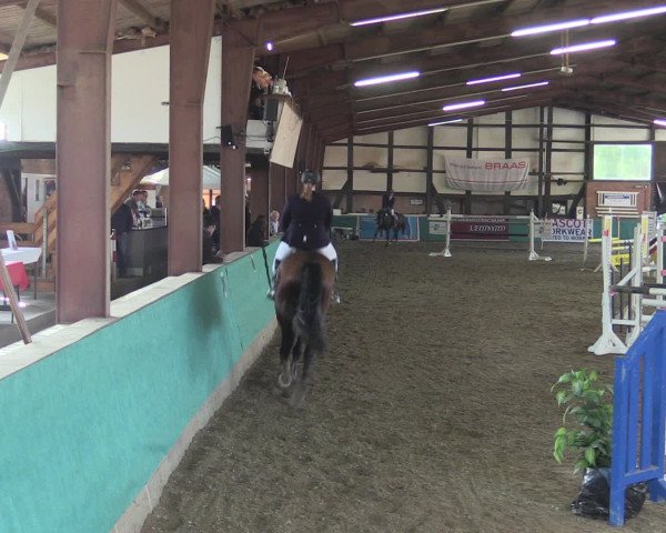 Reitturnier Ovenstädt 2015