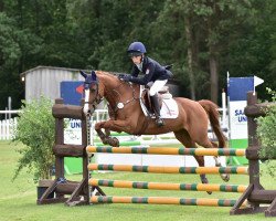 jumper Mephisto 368 (German Riding Pony, 2005, from Mentos)