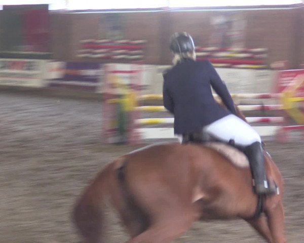 Reitturnier Ovenstädt 2015