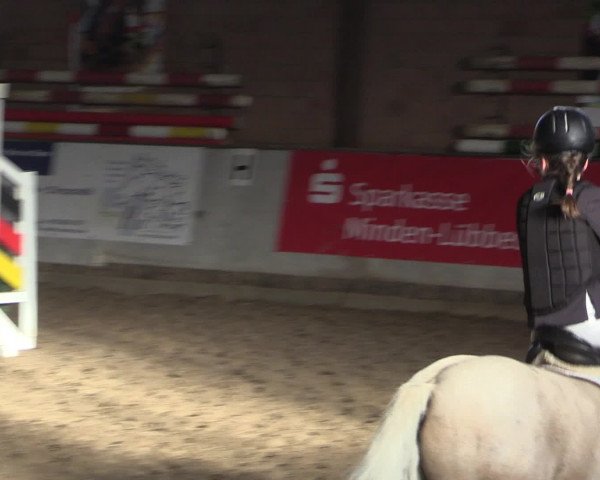 Reitturnier Ovenstädt 2015