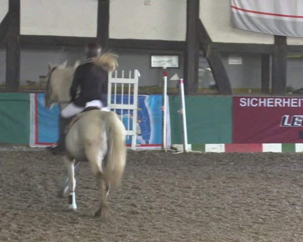 Reitturnier Ovenstädt 2015