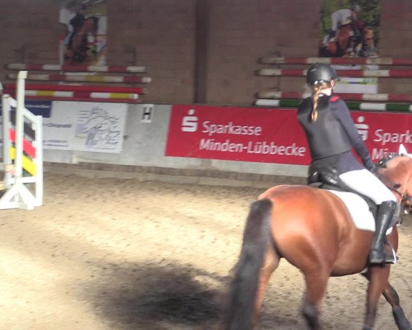Reitturnier Ovenstädt 2015