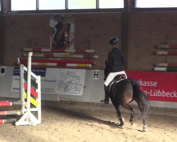 Reitturnier Ovenstädt 2015