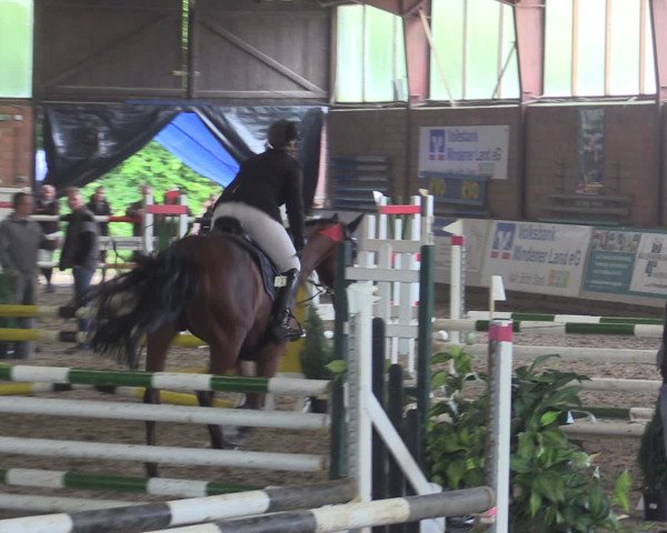 Reitturnier Ovenstädt 2015