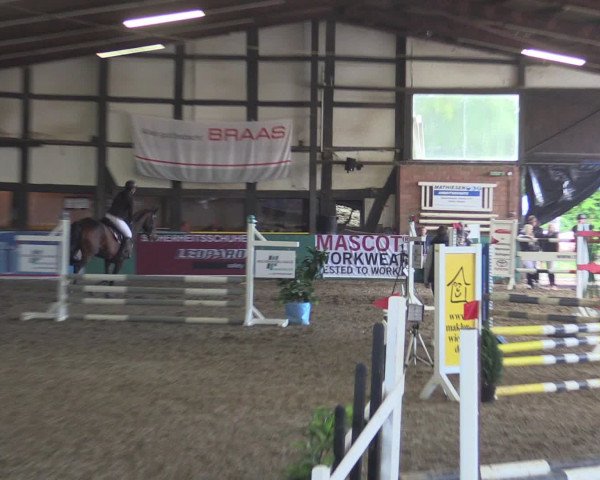 Reitturnier Ovenstädt 2015