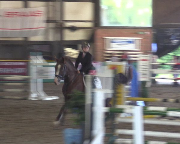 Reitturnier Ovenstädt 2015