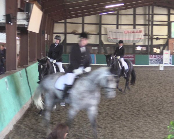Reitturnier Ovenstädt 2015