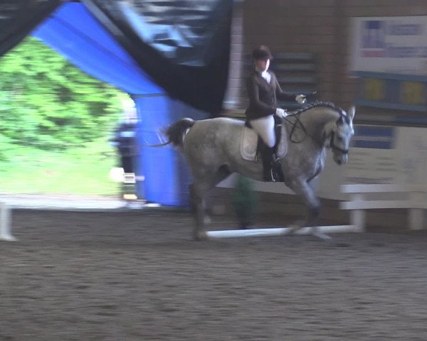 Reitturnier Ovenstädt 2015
