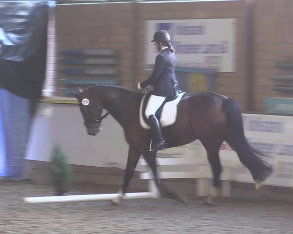 Reitturnier Ovenstädt 2015