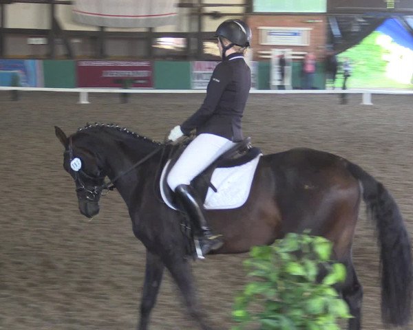 Reitturnier Ovenstädt 2015