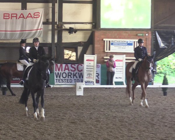 Reitturnier Ovenstädt 2015