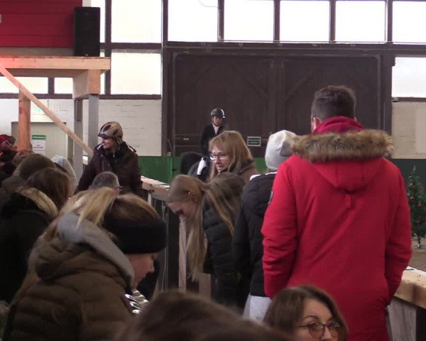 Springturnier Bielefeld-Jöllenbeck 2021