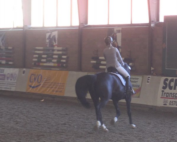 Reitturnier Ovenstädt 2015