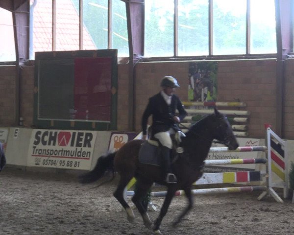 Reitturnier Ovenstädt 2015