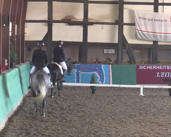 Reitturnier Ovenstädt 2015