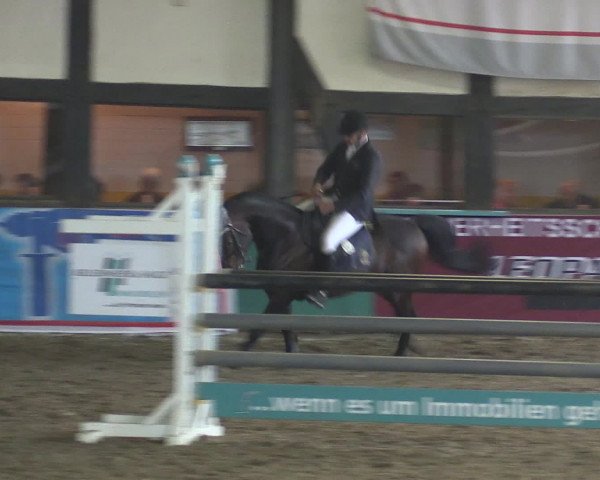 Reitturnier Ovenstädt 2015