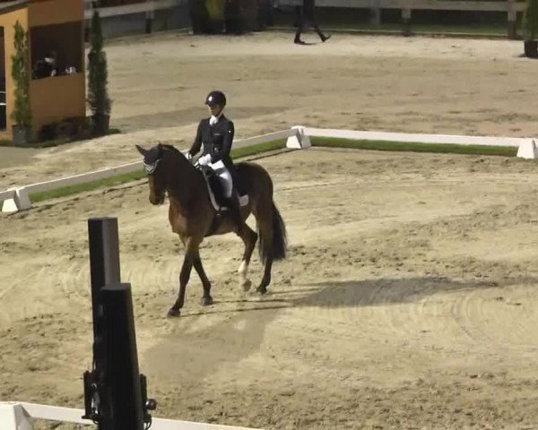 Reitturnier Linkenheim-Hochstetten 2015