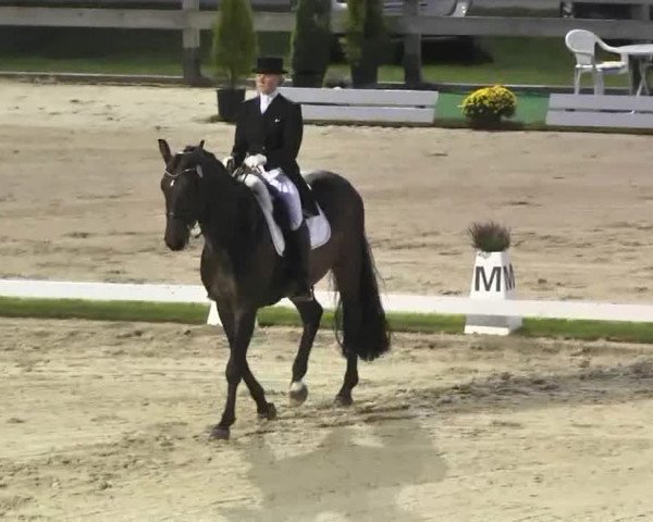 Reitturnier Linkenheim-Hochstetten 2015