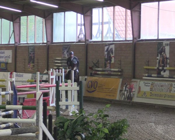 Reitturnier Ovenstädt 2015