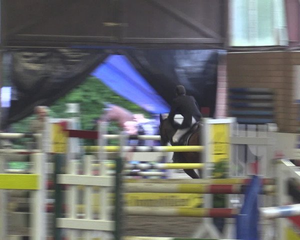 Reitturnier Ovenstädt 2015