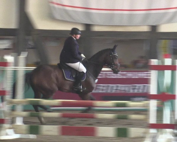 Reitturnier Ovenstädt 2015