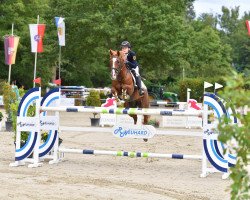 Springpferd Pretiosa (Deutsches Reitpony, 2007, von Playback)