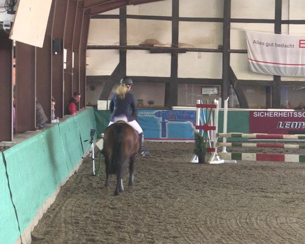 Reitturnier Ovenstädt 2015