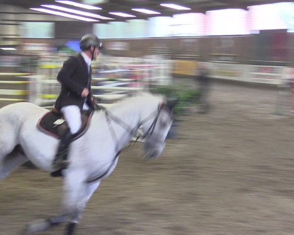 Reitturnier Ovenstädt 2015