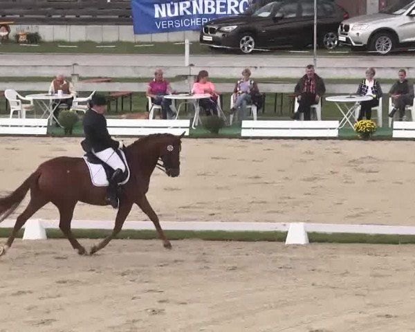Reitturnier Linkenheim-Hochstetten 2015