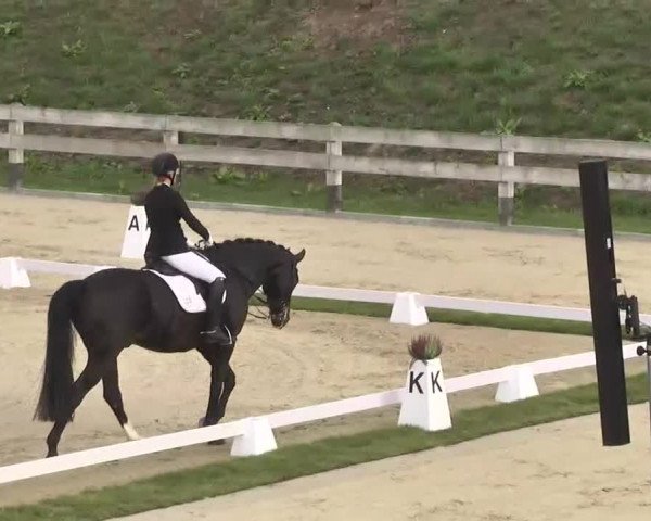 Reitturnier Linkenheim-Hochstetten 2015