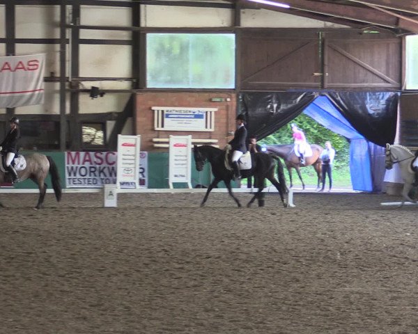 Reitturnier Ovenstädt 2015