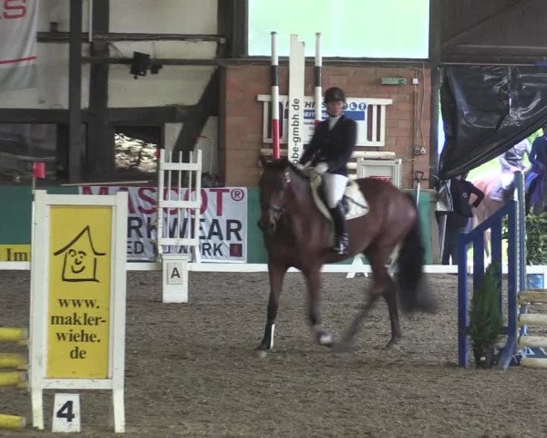 Reitturnier Ovenstädt 2015